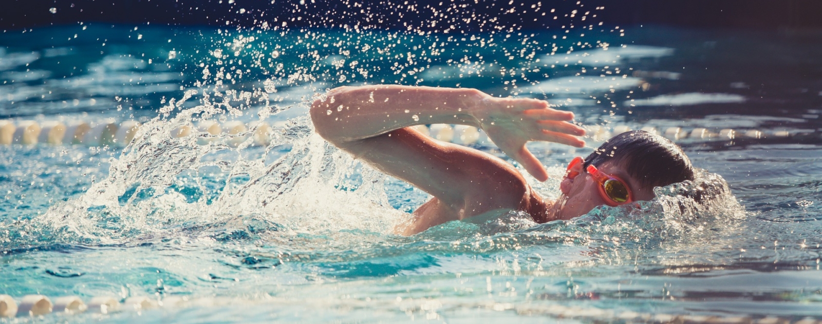 SSW Regional Swimming